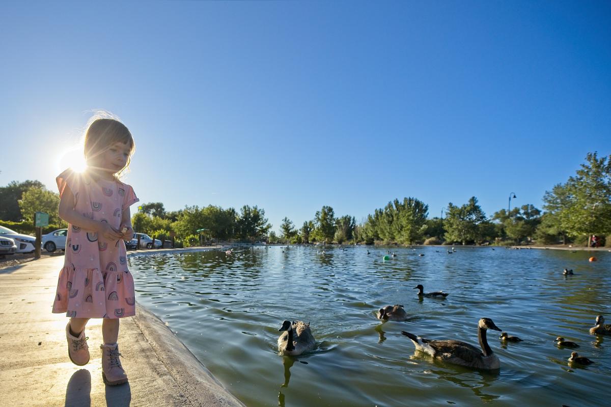 Tingley Beach, Albuquerque, New Mexico Magazine