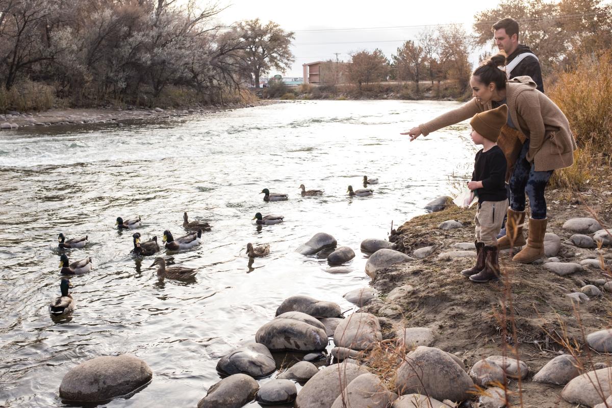 Easily accessed trails bring everyone closer to nature's wonders along the Animas River Trail.