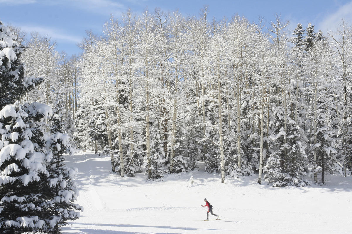 Enchanted Forest Cross Country Ski and Snowshoe Area has 20 miles of groomed cross-country trails, New Mexico Magazine