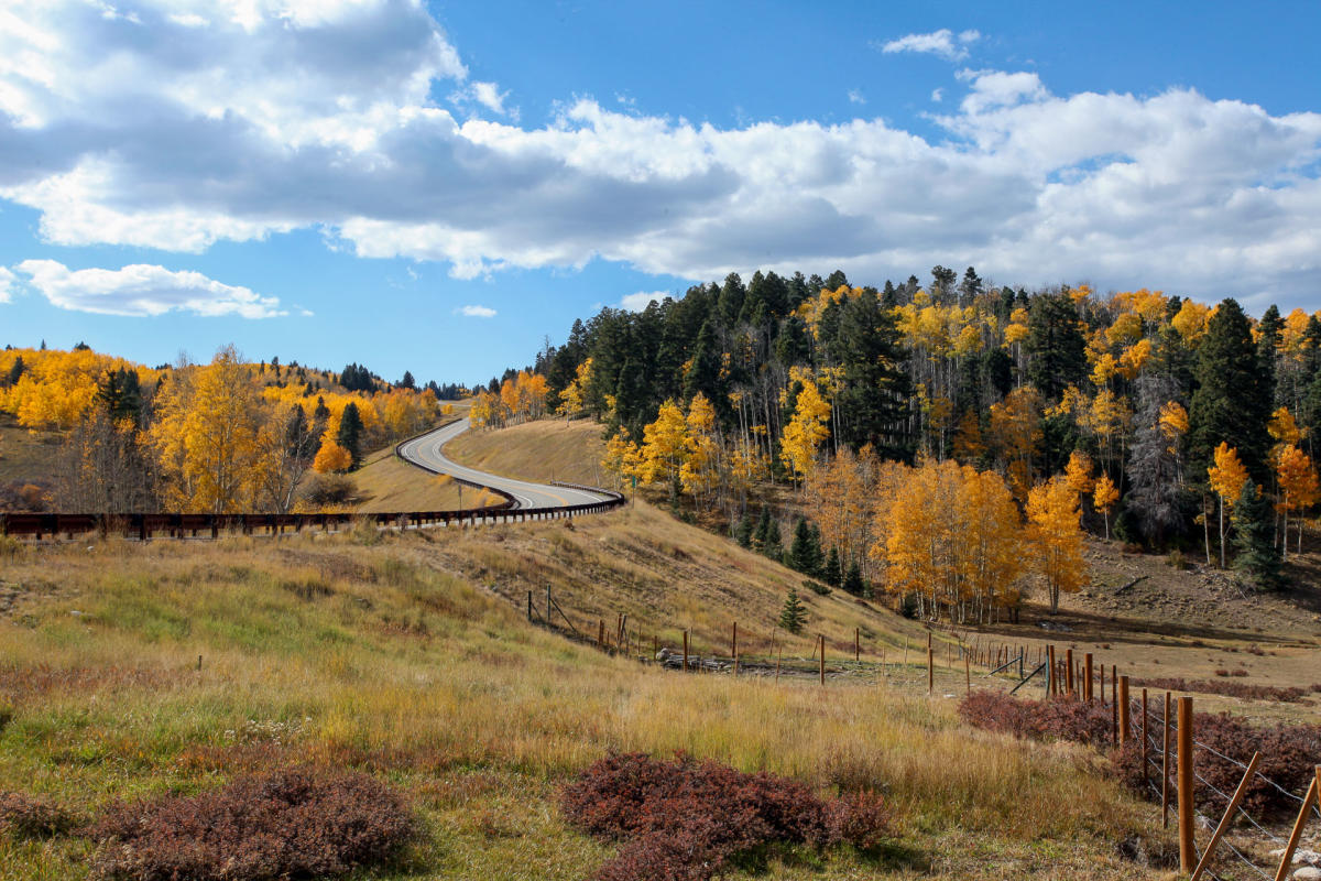 A two-lane road winds through a rural forested area, with evergreen trees and other trees with fall foliage present.