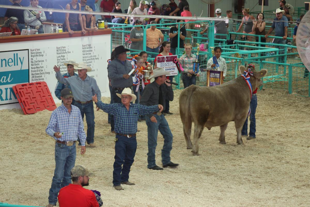 San Juan County Fair