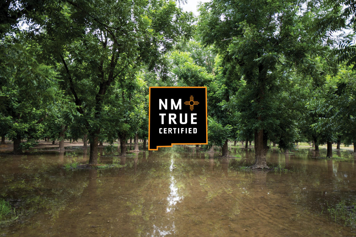 A forested area with trees standing in shallow water. A dark "NM True Certified" logo is displayed in the center of the image.