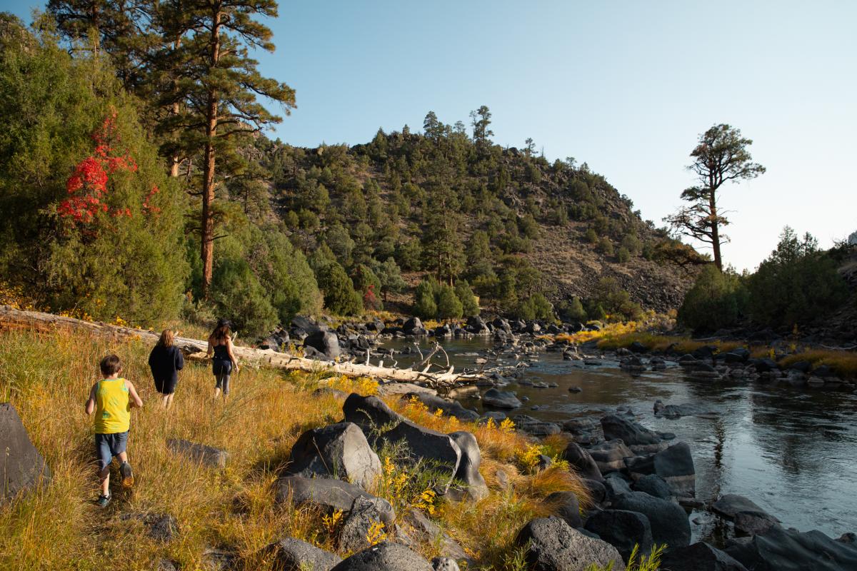 Three people walk through yellowed grass next to a small river by a tree covered hillside.