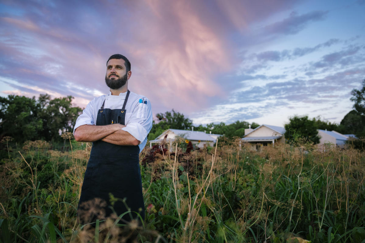 A person wearing a black apron stands confidently in a lush field with wild plants. In the background, there are small buildings and a dramatic sky with soft, pink-tinged clouds.