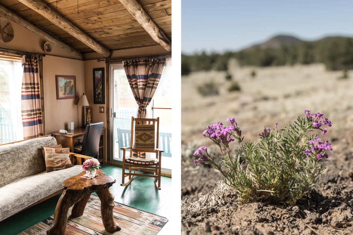 Cimarron Rose B&B and Mock Vervain at El Malpais