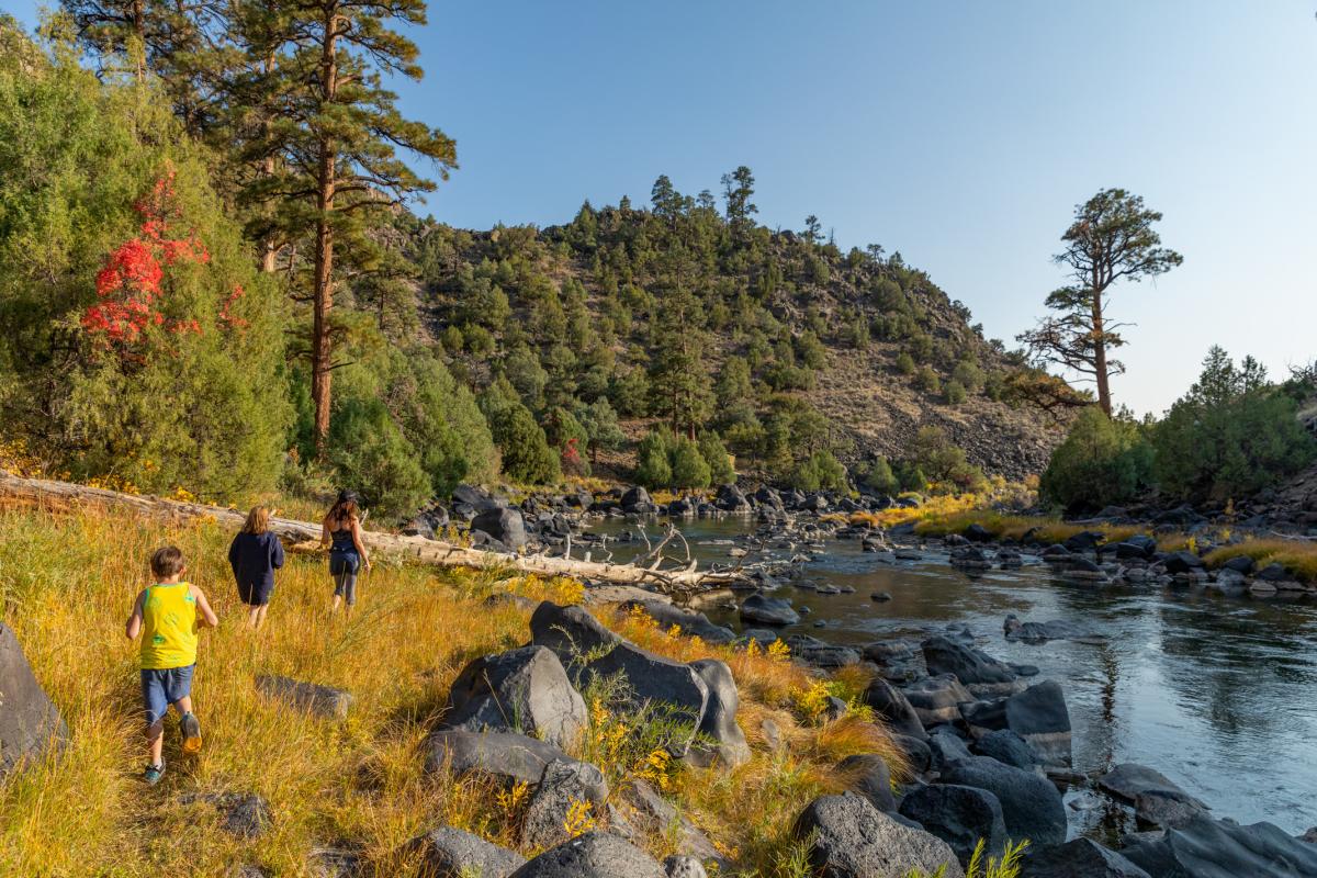 Three people walk along a grassy riverbank with rocks and trees nearby. In the background, there is a small, forested hill under a clear blue sky.