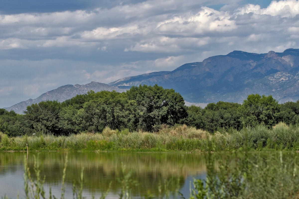 Rio Grande Nature Center