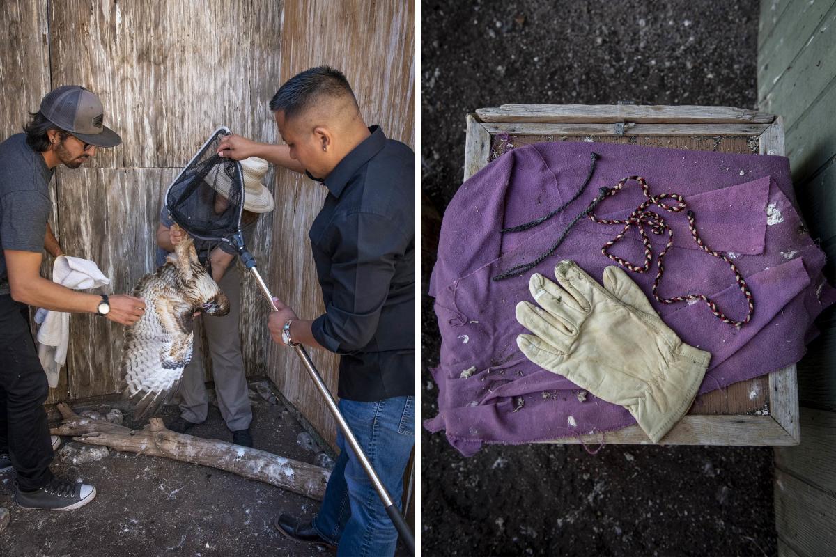 Volunteers at the Santa Fe Raptor Center