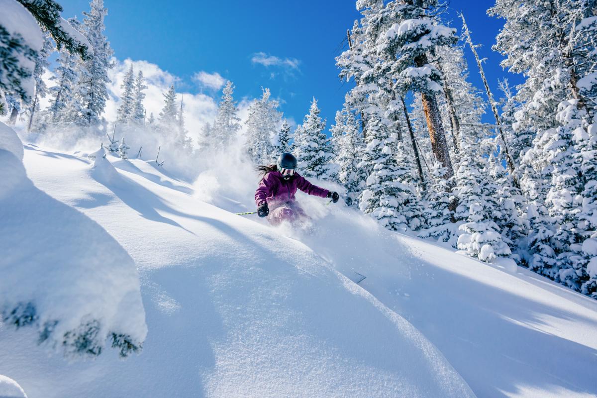 ski instructor Stevie Lund carves through a snow-covered forest, spraying powder as she makes a turn