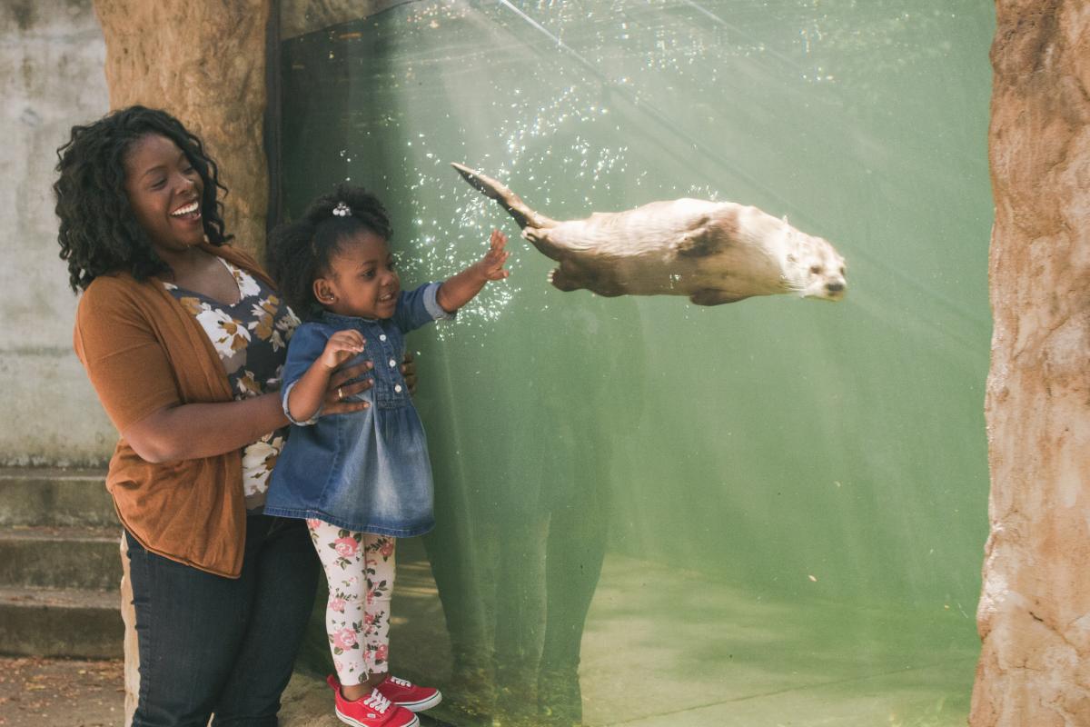 The Virginia Living Museum