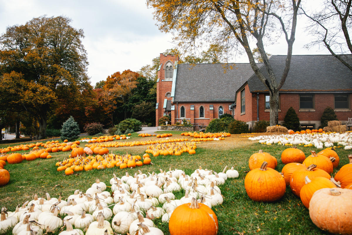 Barrington Pumpkin Patch