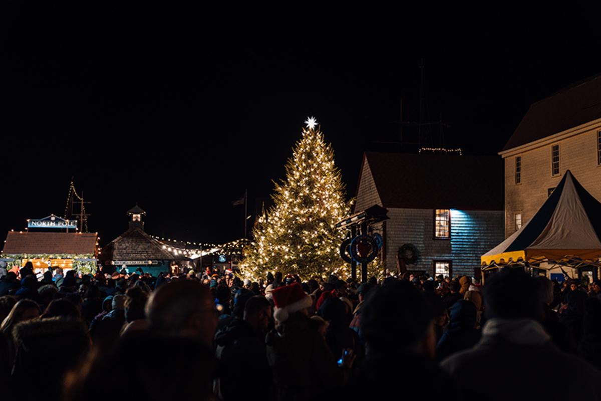 Copy of Bowen's Wharf Tree Lighting