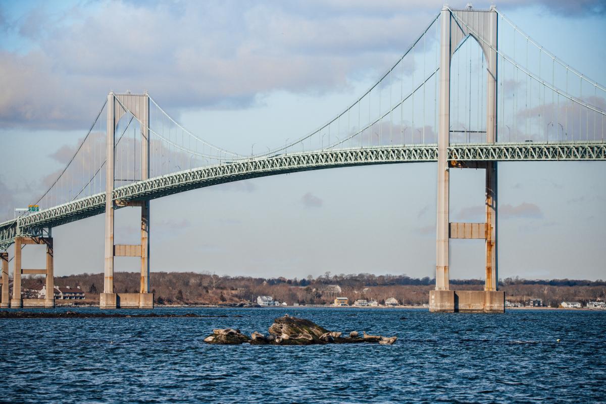 Seal Watch Tours Save the Bay 2020