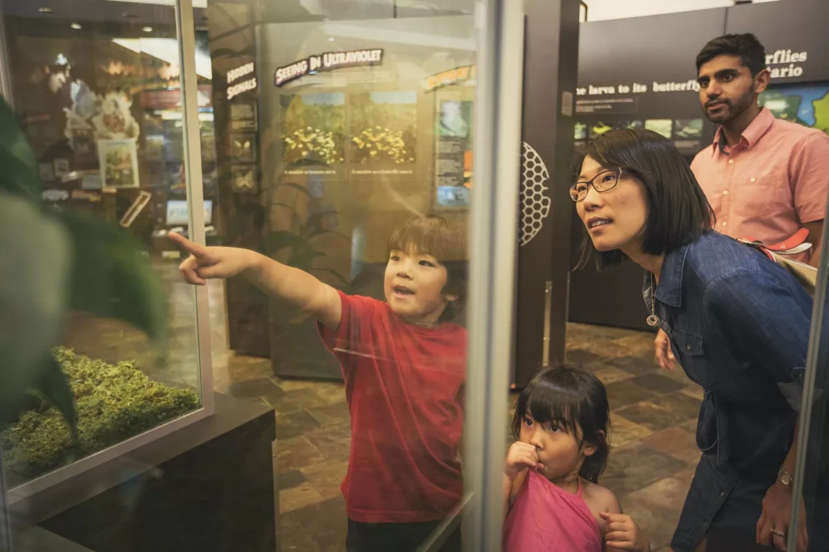 Butterfly Conservatory Exhibit