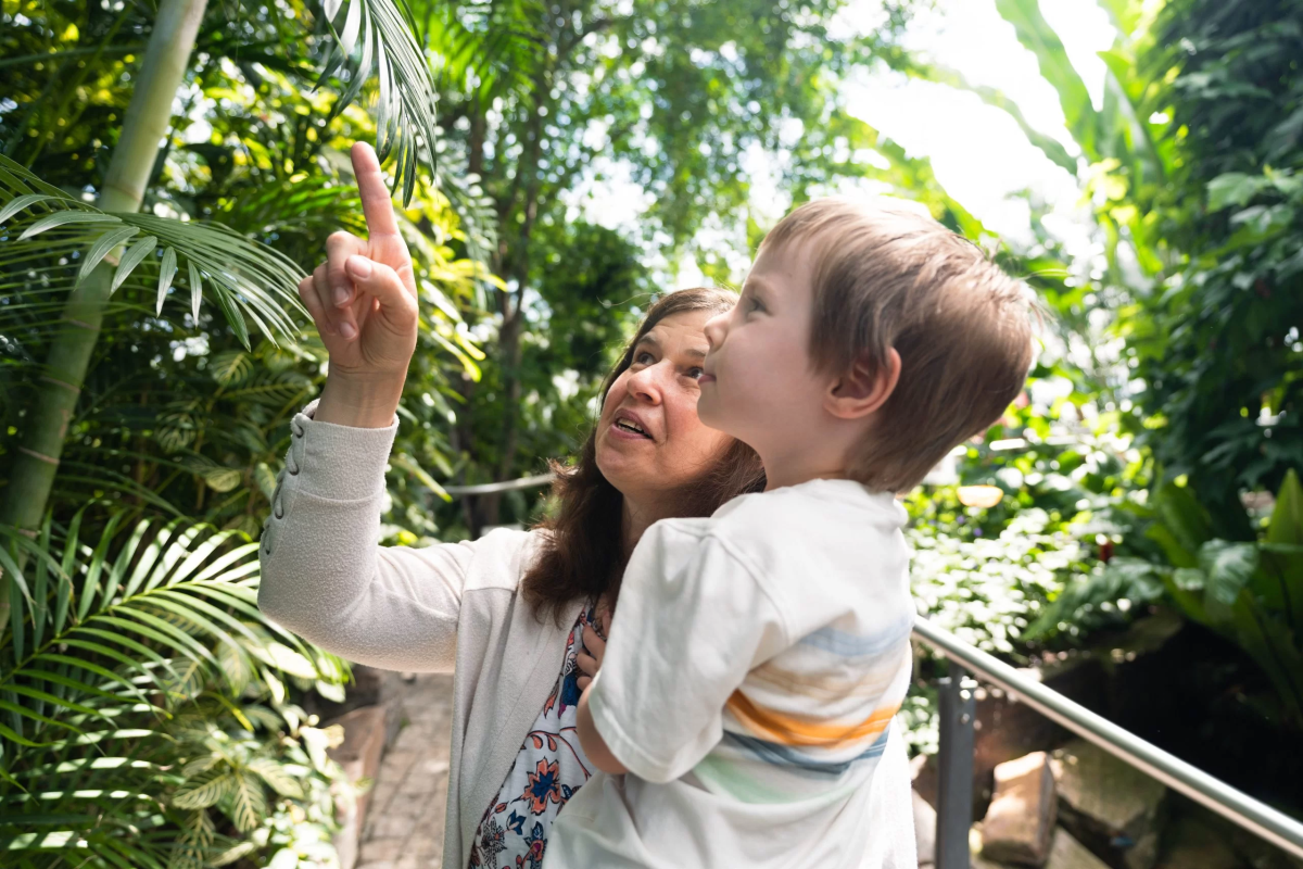 Butterfly Conservatory