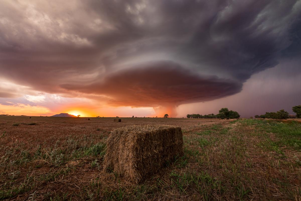 The Mothership,  David Turning