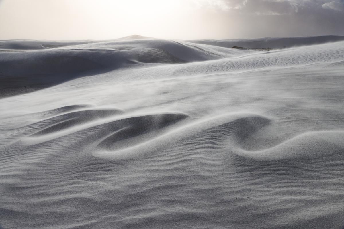 The Wave, David Turning