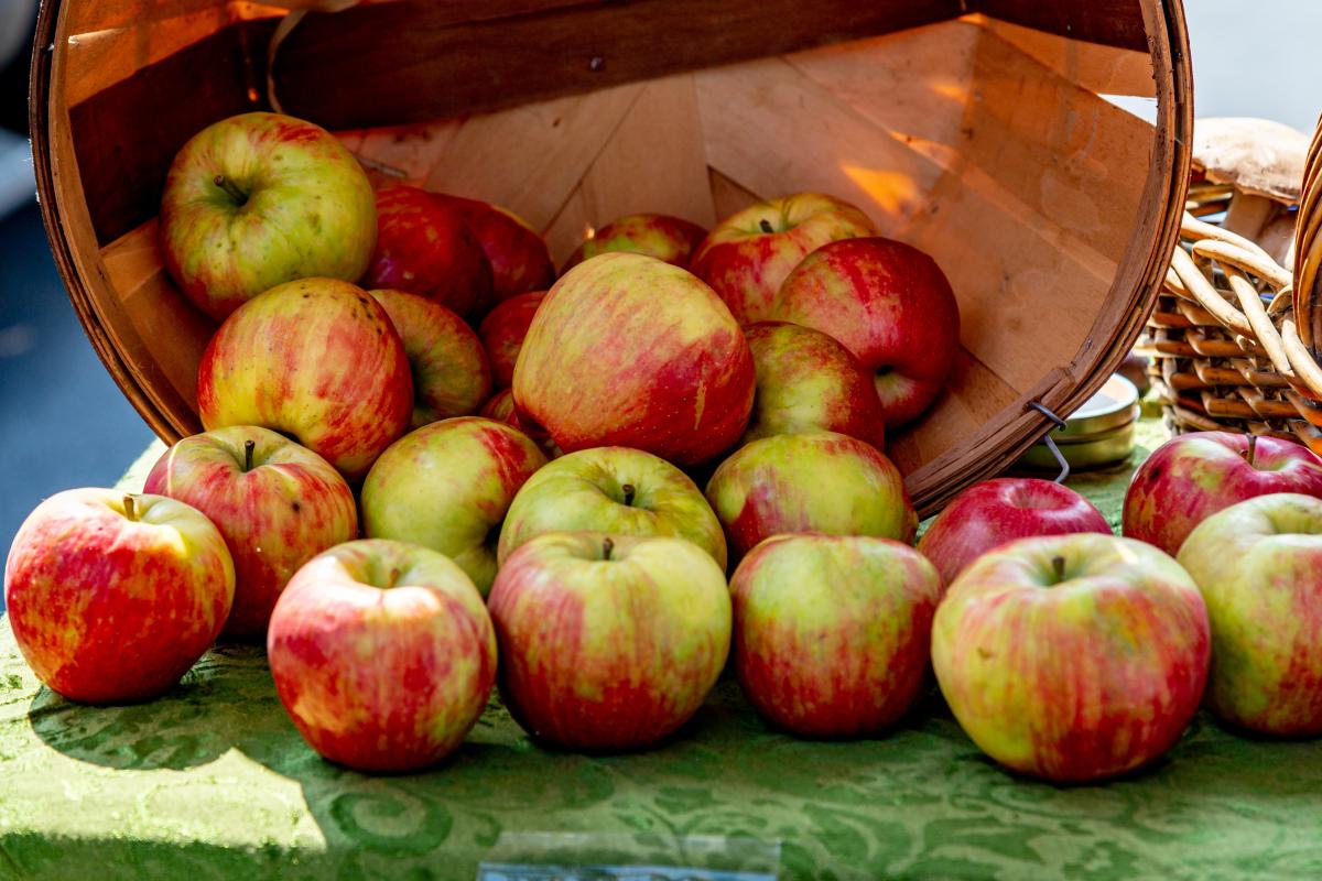 Apples Basket