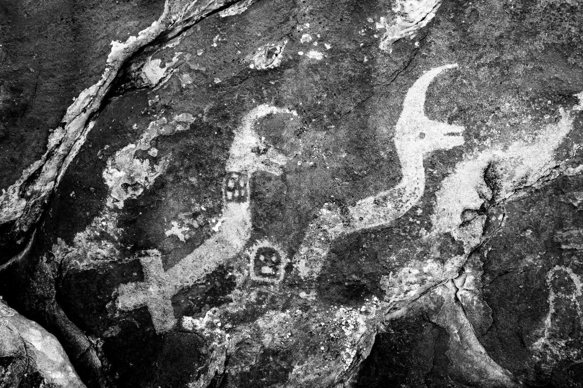 Paired horned serpent deities in New Mexico. The large cross shape at the tail of the left-hand serpent may indicate a rattlesnake, a cloud, or, equally likely, Venus, the Morning Star, with which the deity is often associated. The figure also has a collar, symbolizing corn that he delivers in ritual events.