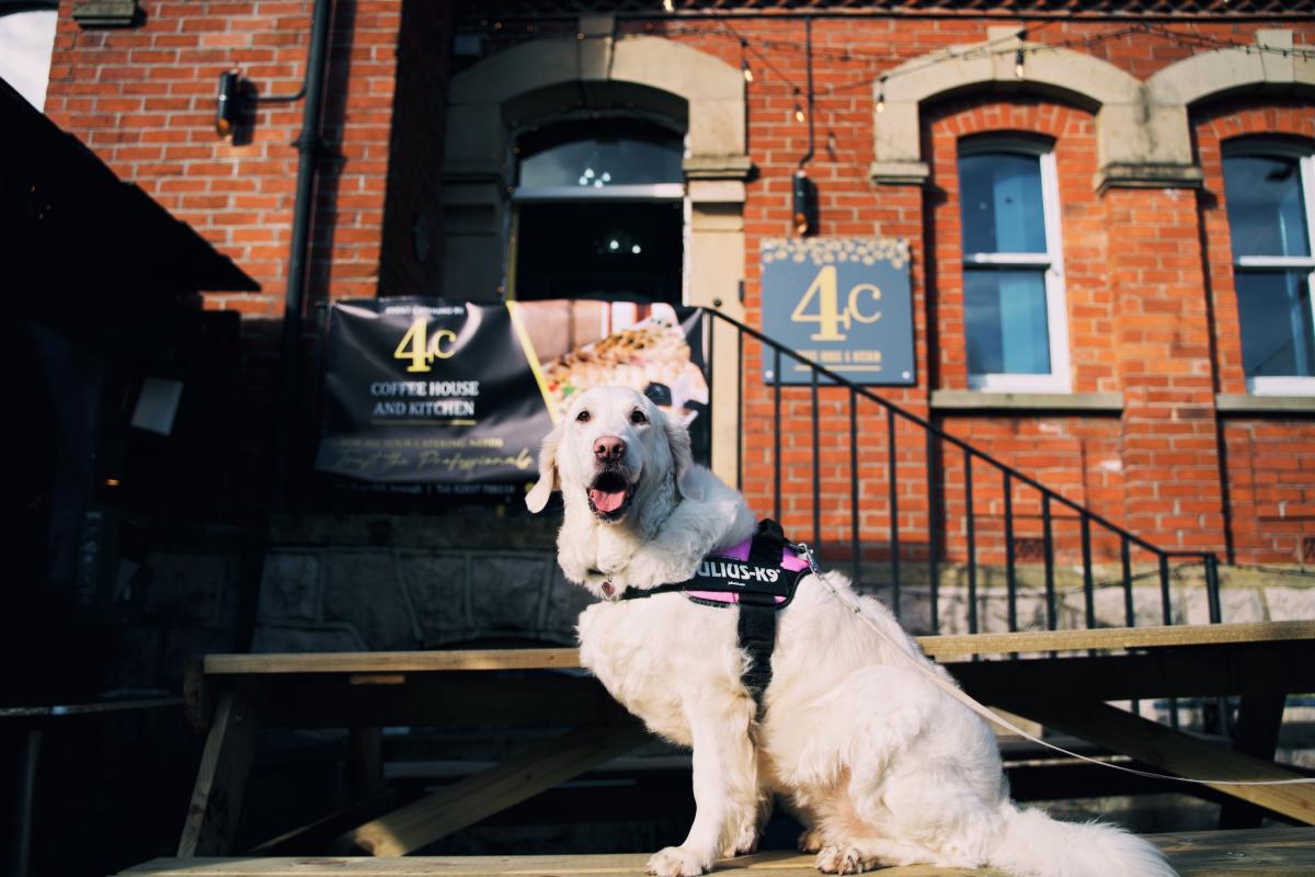 Dog Friendly Itinerary Armagh - 01