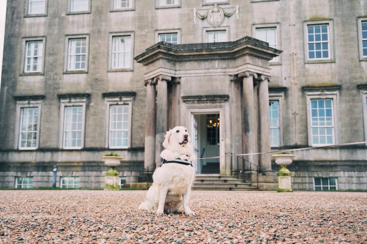 Dog Friendly Itinerary Armagh - 02