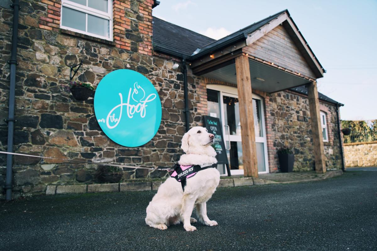 Dog Friendly Itinerary Armagh - 05