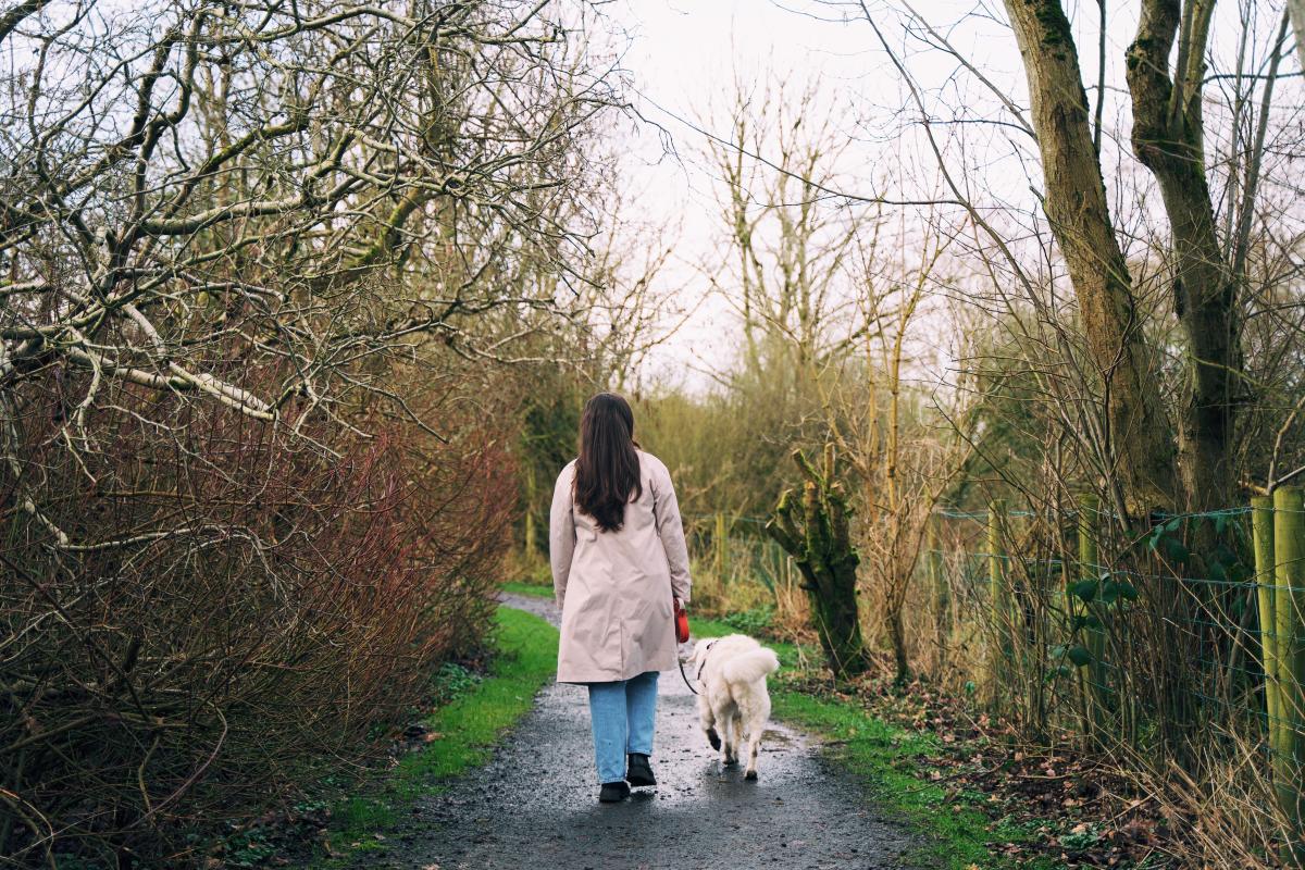 Dog Friendly Itinerary Armagh - 07