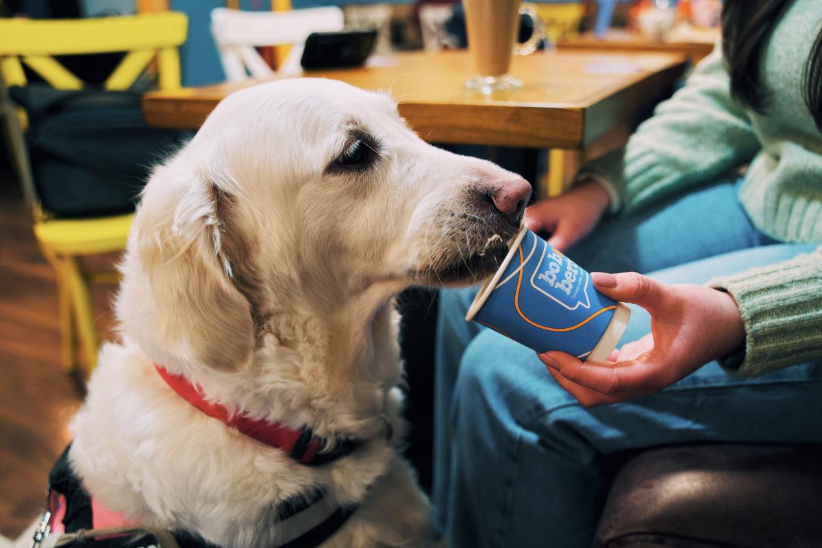 Dog Friendly Itinerary Armagh - 08