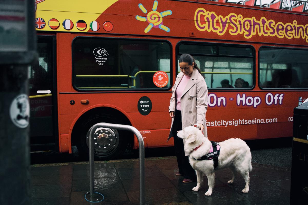 Woman petting her golden retriever beside a Belfast City Sightseeing hop-on hop-off bus on a city street