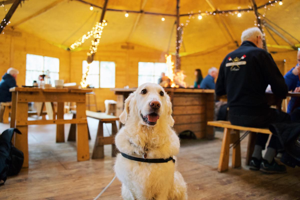 Dog Friendly Itinerary Down - 01