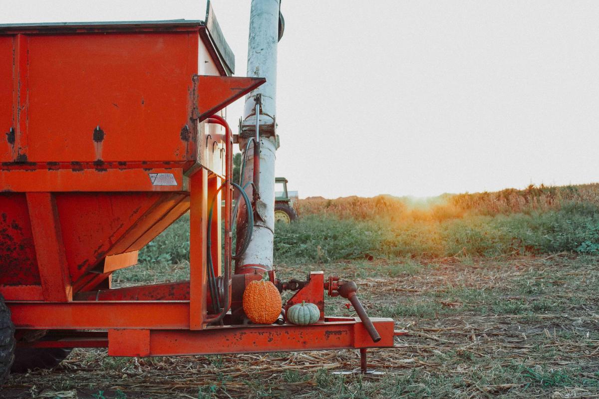 Mert's Market Image 2