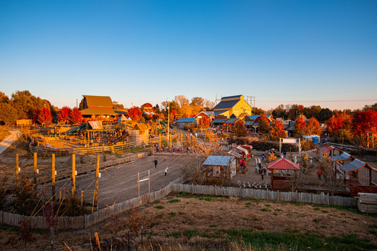 Vala's Pumpkin Patch view