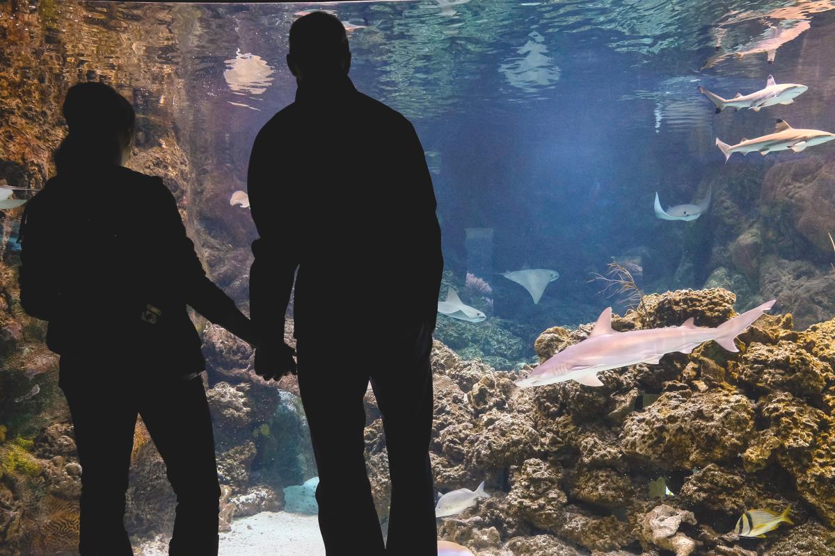 Couples can hold each other tight in the dim light of the aquarium at Omaha's Henry Doorly Zoo