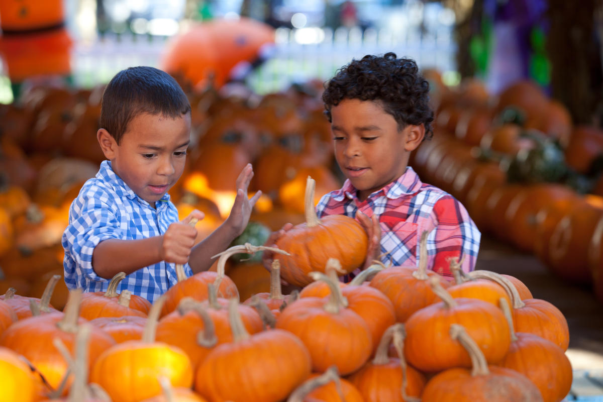 Celebration Town Center falling leaves kids pumpkins