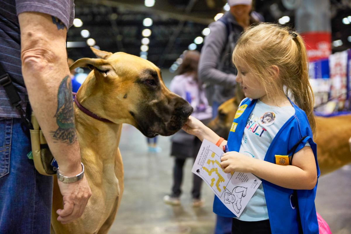 AKC National Championship presented by Royal Canin – American