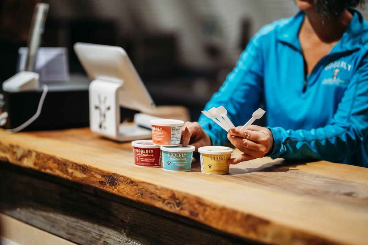 Udderly ice cream minis