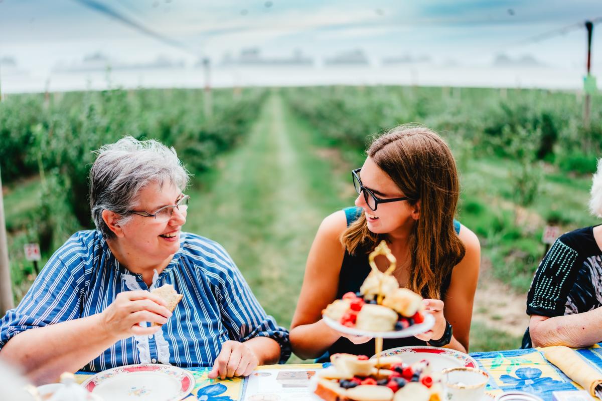 People eating surrounded by nature