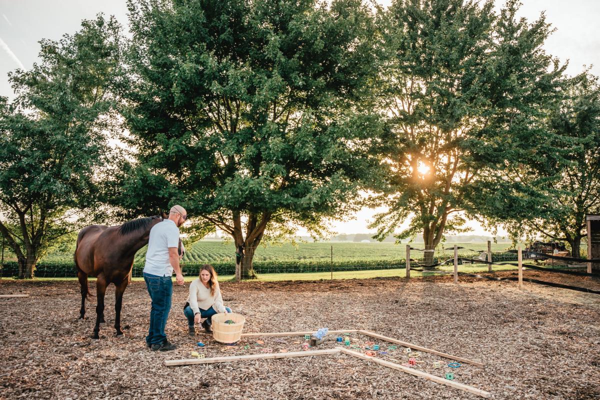 Dudek Photography (Transitions Equine)- 031 (1)