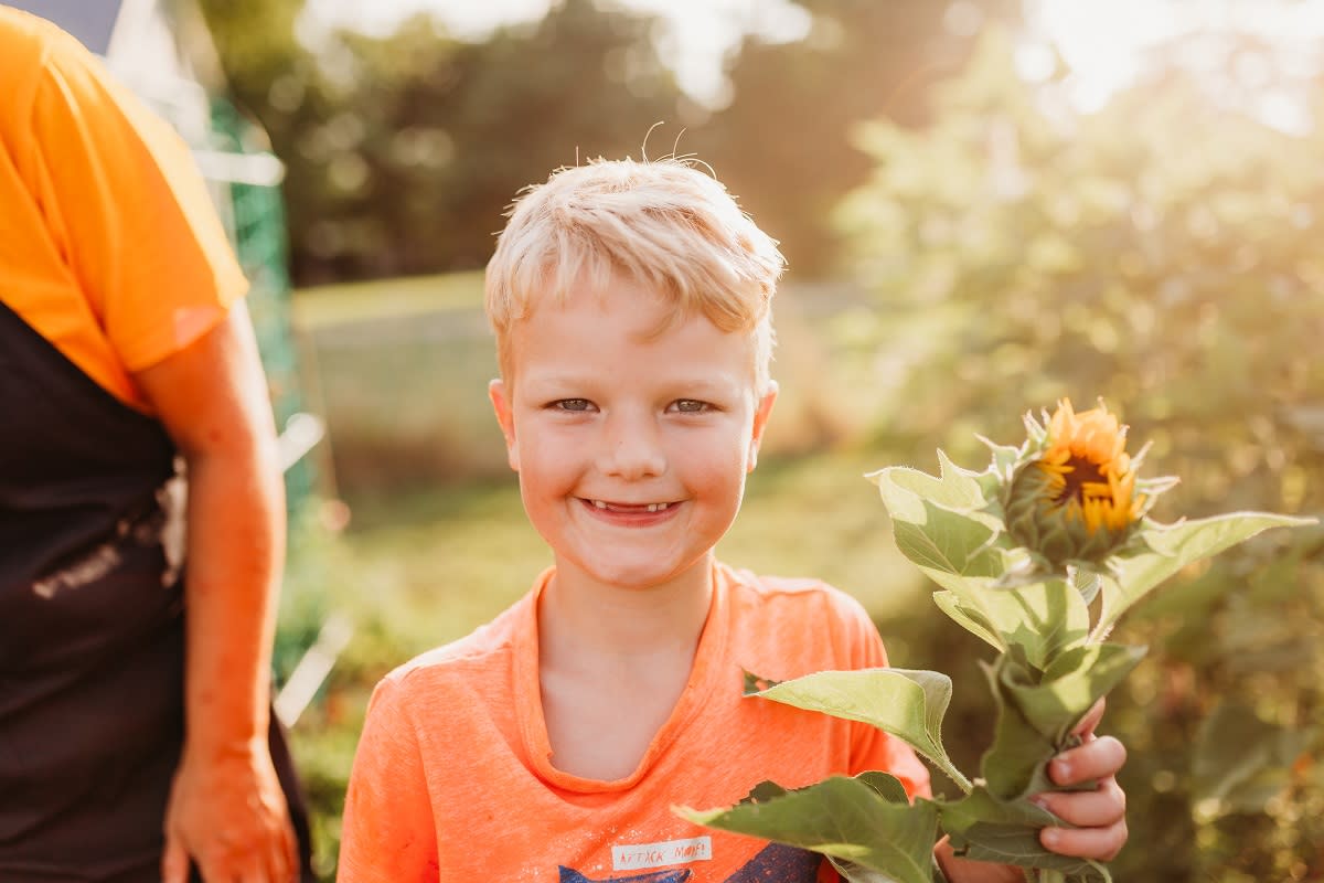 Makkink Sunflower Farm Child Flower