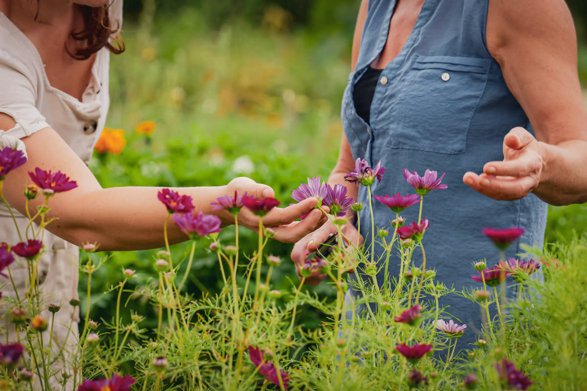 Makkink's Flower Field
