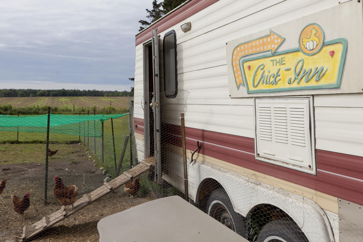 Orange Door Acres Chick-Inn