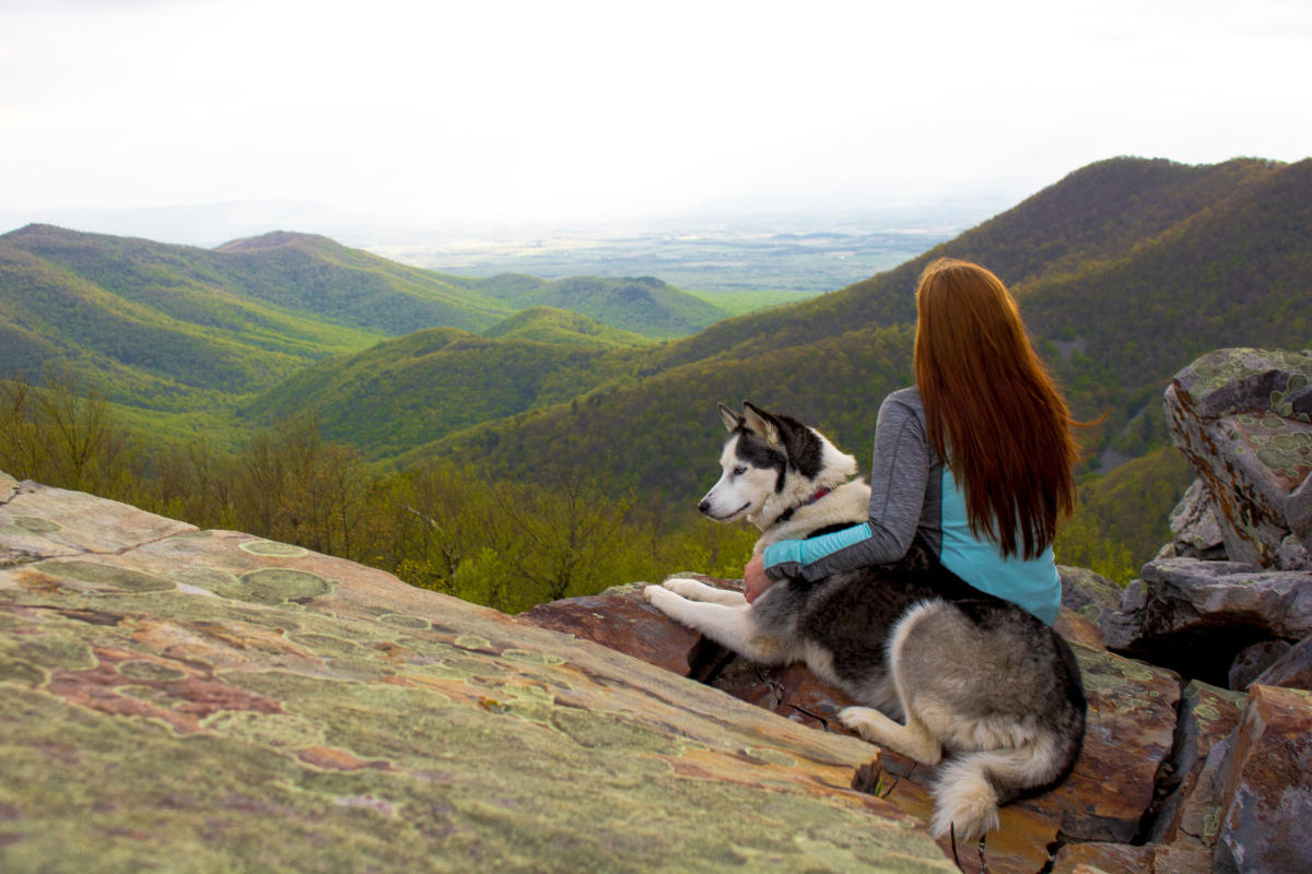 Hikes with Pets in Shenandoah National Park
