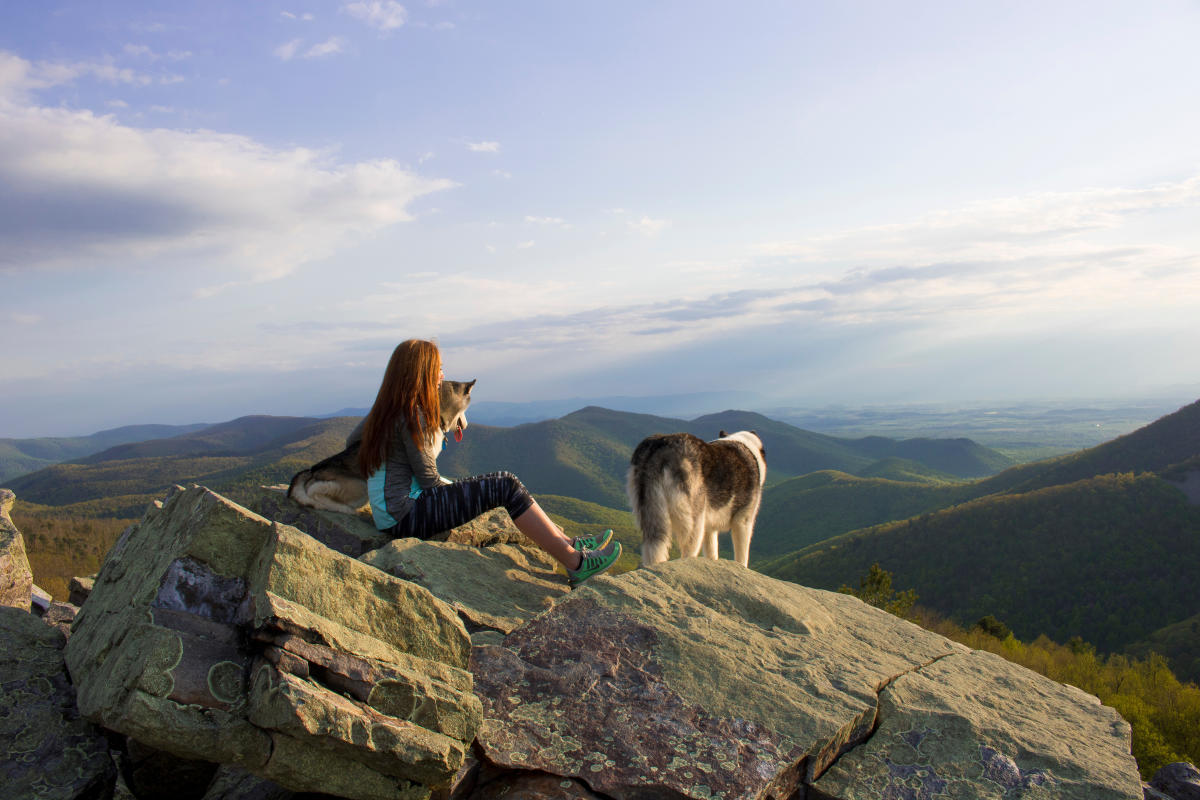 Shenandoah National Park dogs