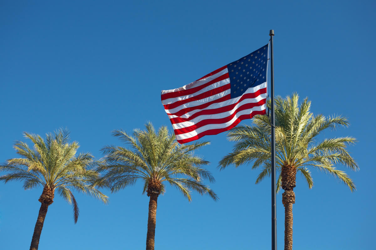 American flag with Palm Trees and Blue Skies