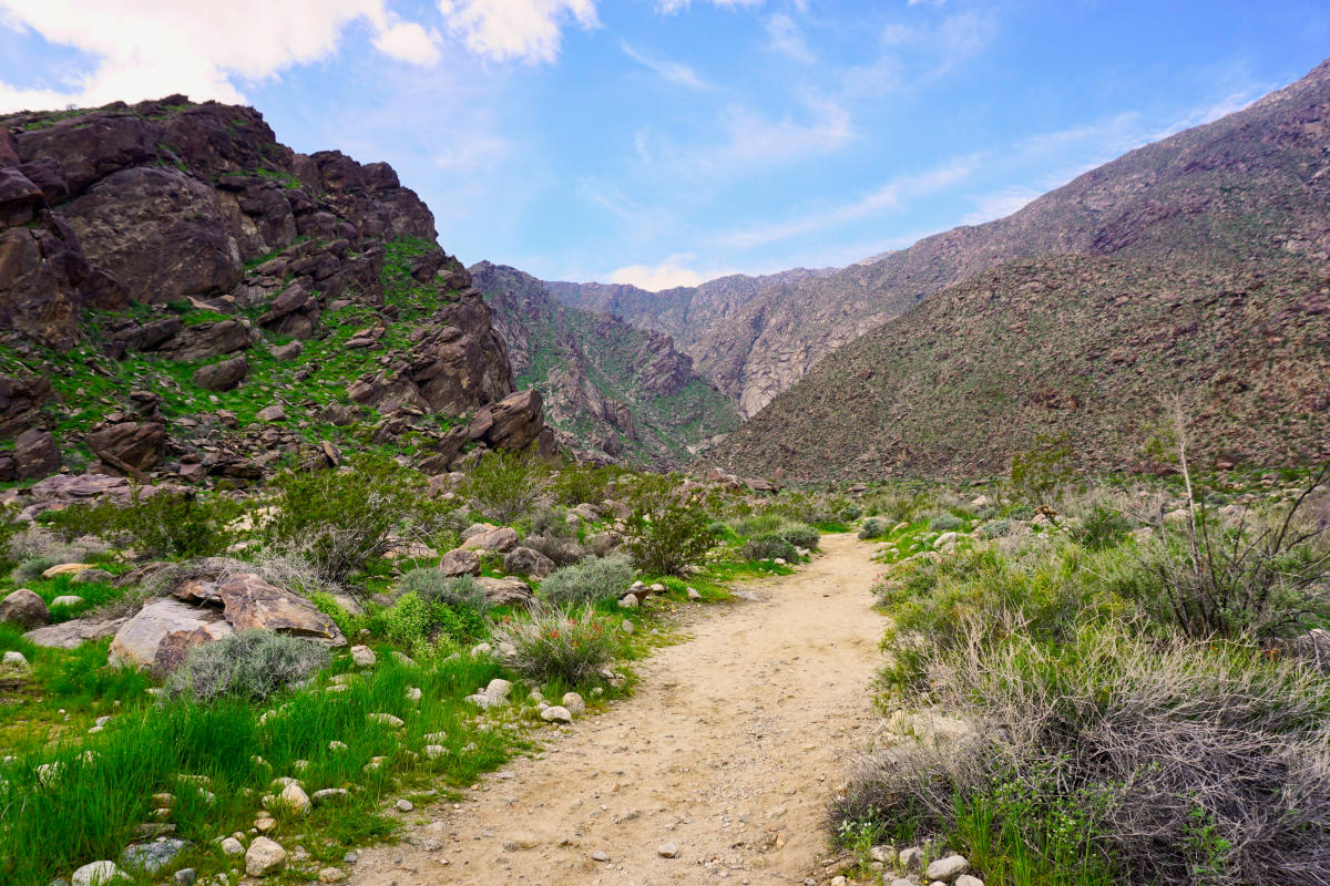 Tahquitz Canyon Hiking Trail