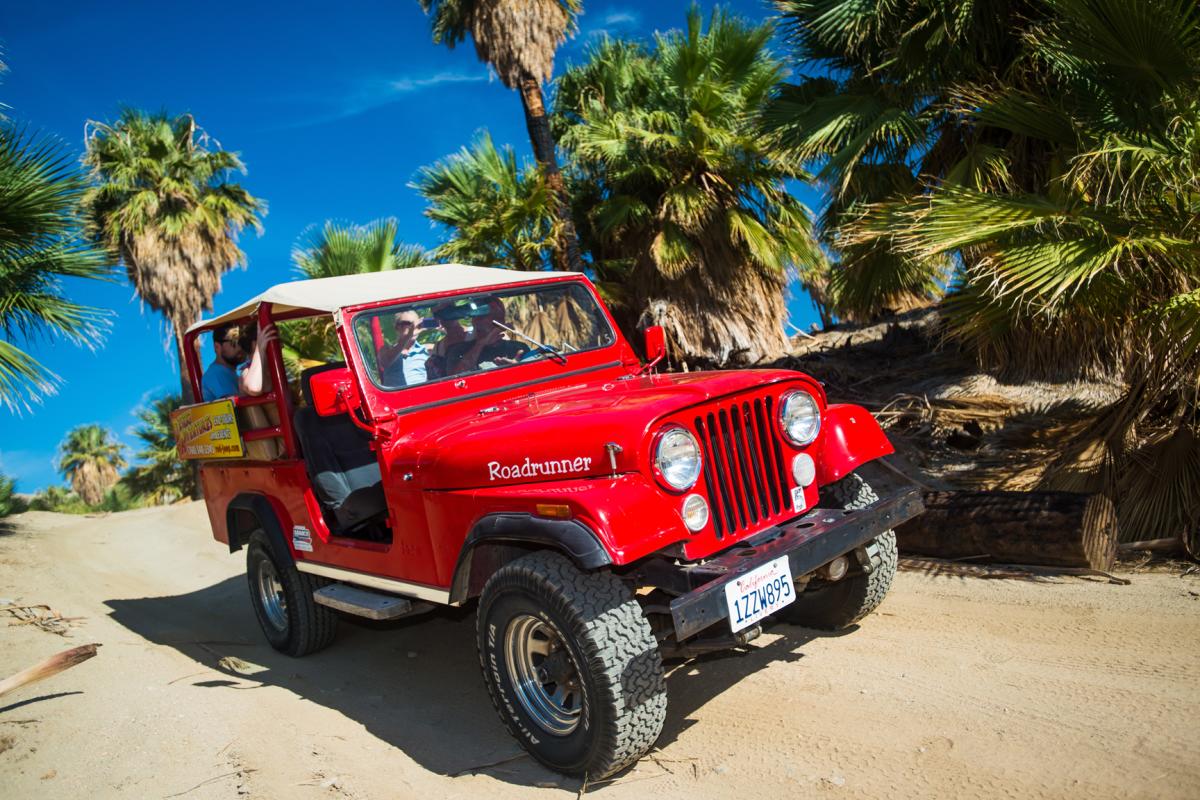 Red jeep in desert surrounded by palm trees