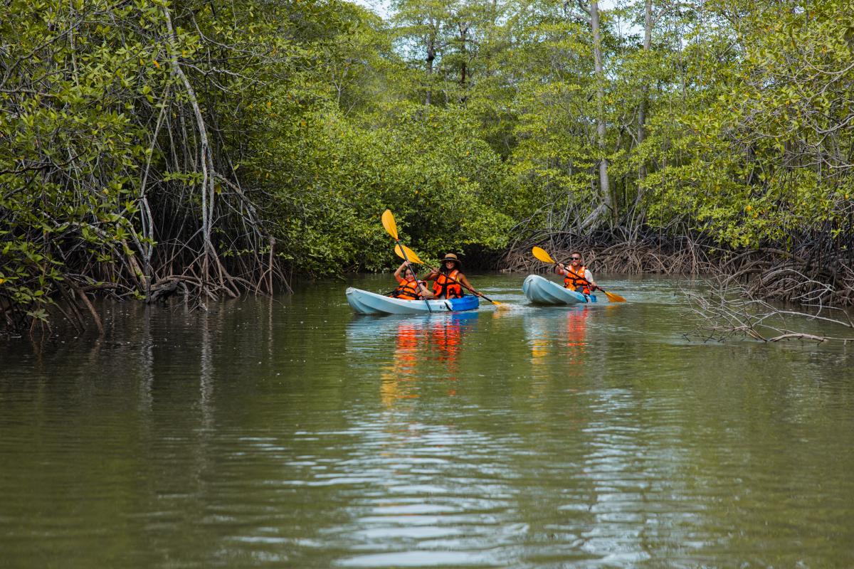 Kayaking at Gulf of Montijo