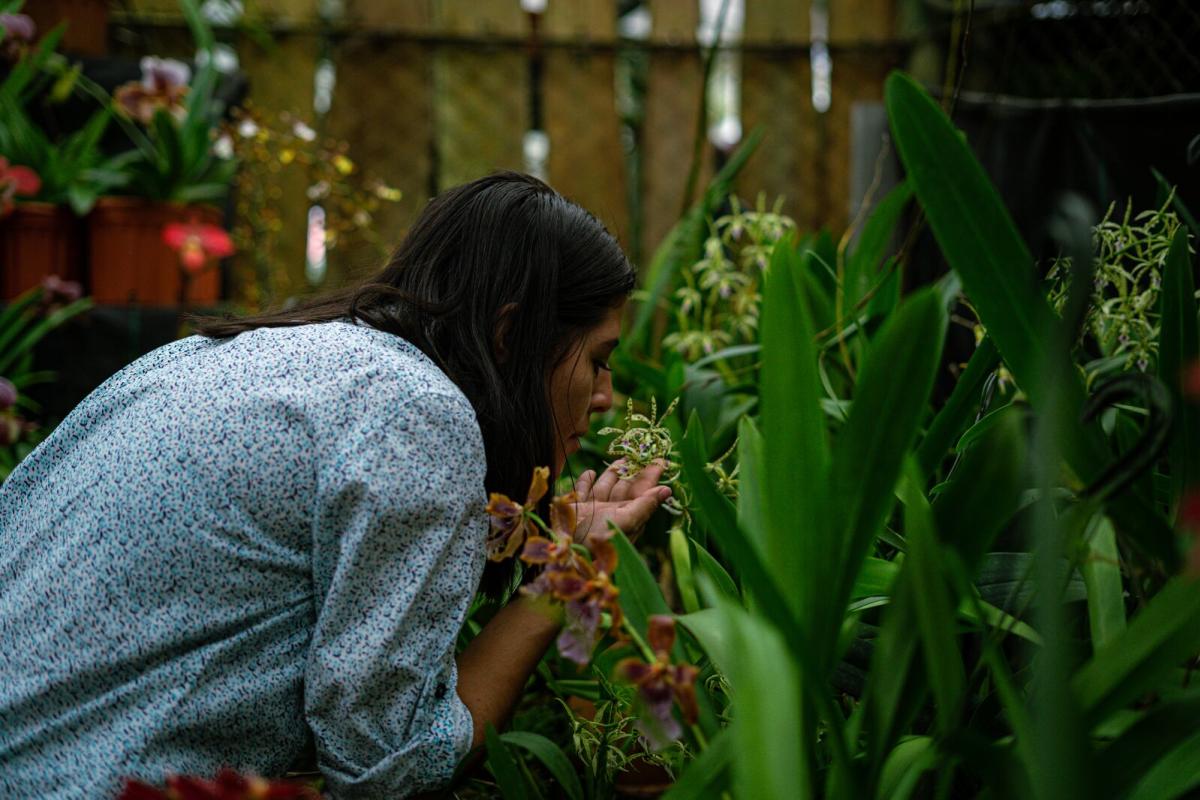 finca-dracula-botanical-gardens-cerro-punta-chiriqui-province