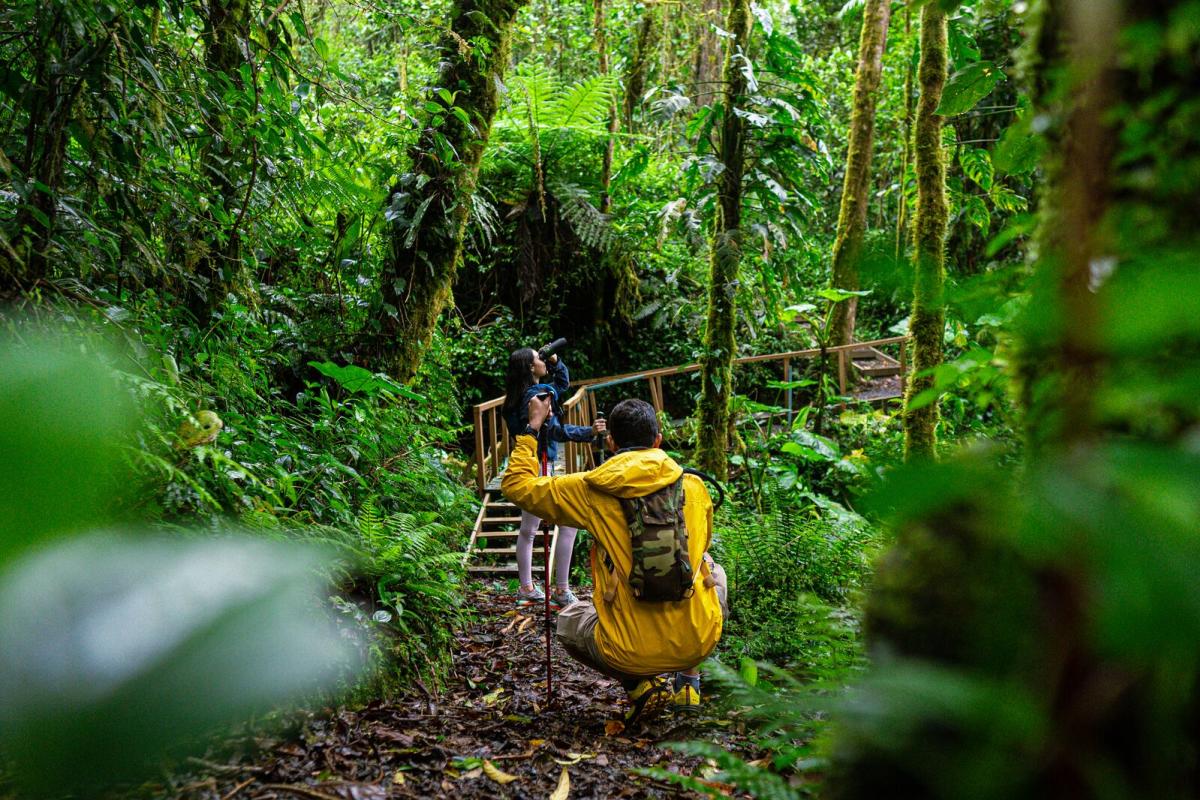 la-amistad-international-park-cerro-punta-chiriqui-province