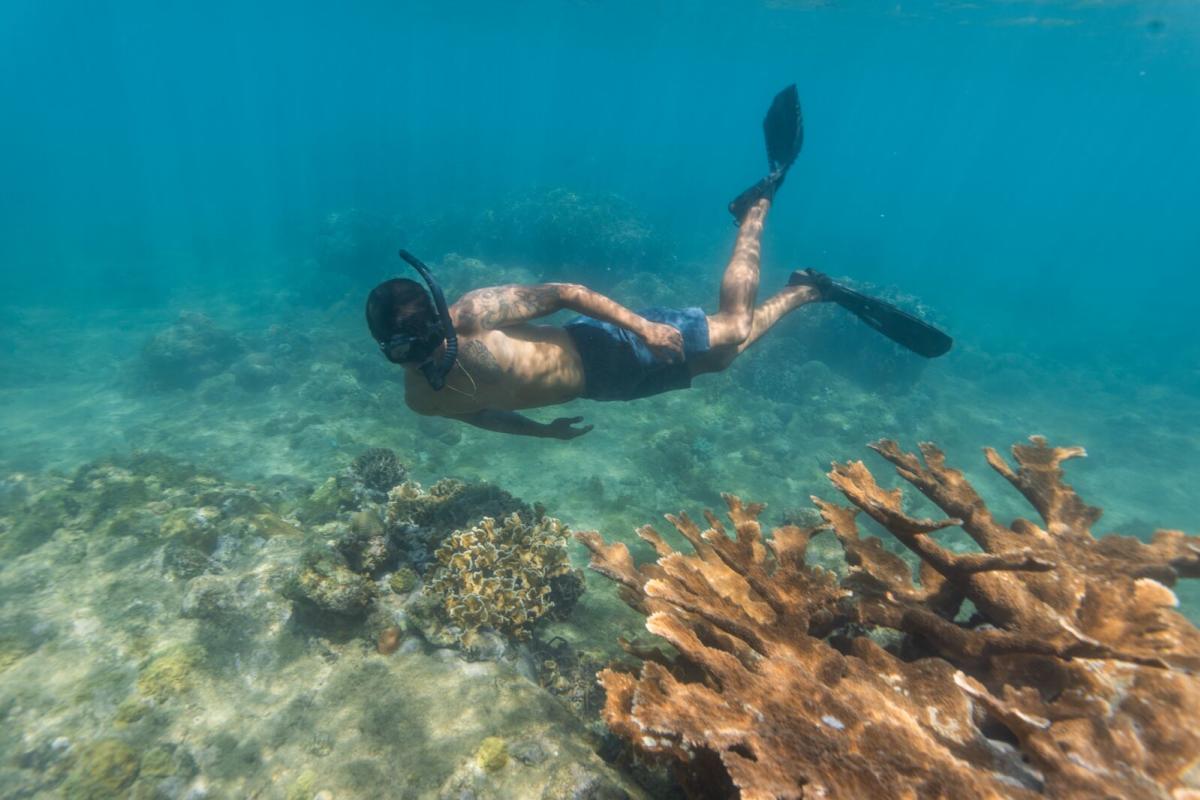 playa-huerta-portobelo